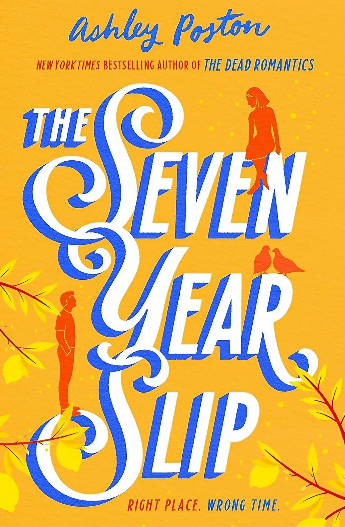 The Seven Year Slip Book by Ashley Poston