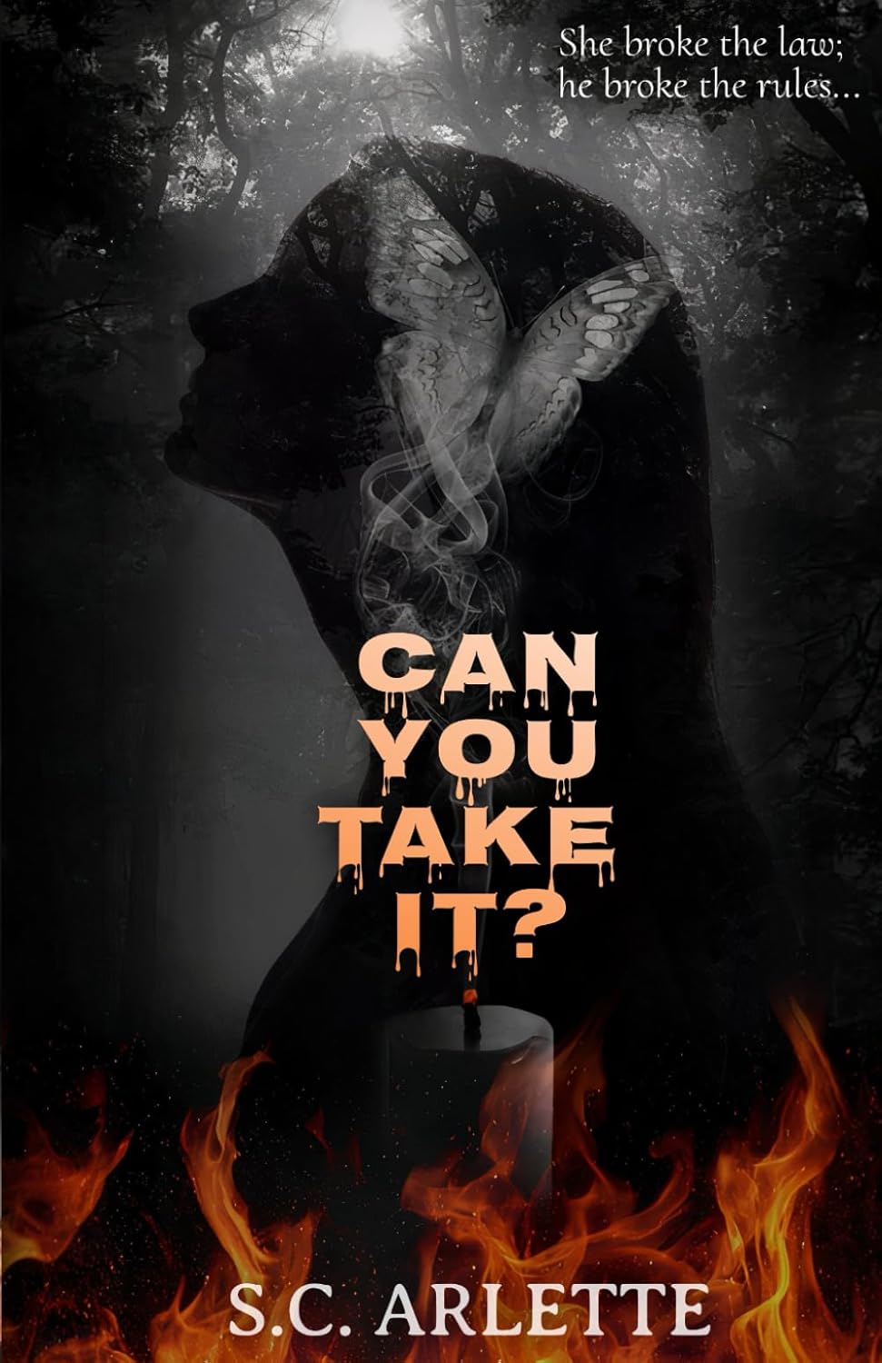 Can You Take It? by S.C. Arlette