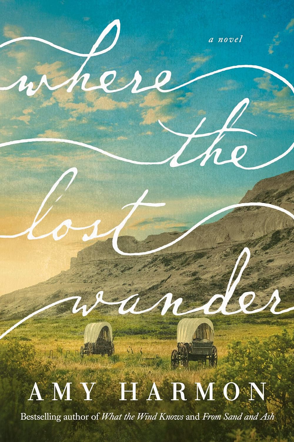 Where the Lost Wander: A Novel Book by Amy Harmon