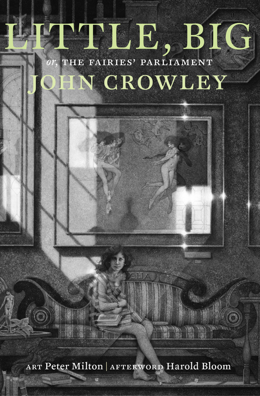 Little, Big: or, The Fairies' Parliament Novel by John Crowley