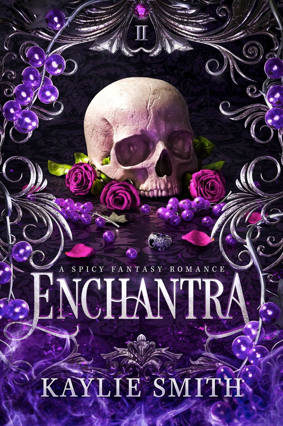 Enchantra Novel by Kaylie Smith