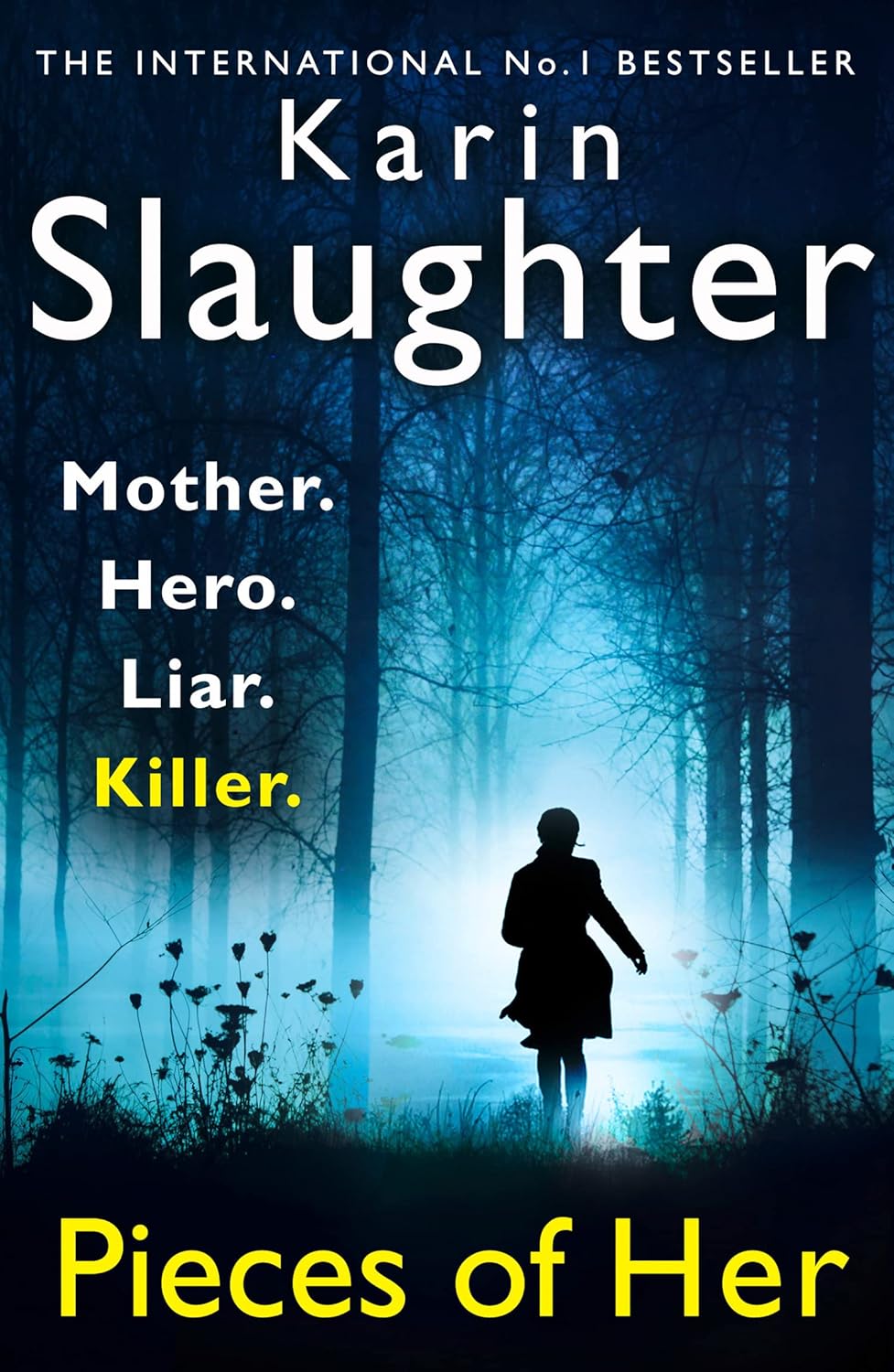 Pieces of Her Novel by Karin Slaughter