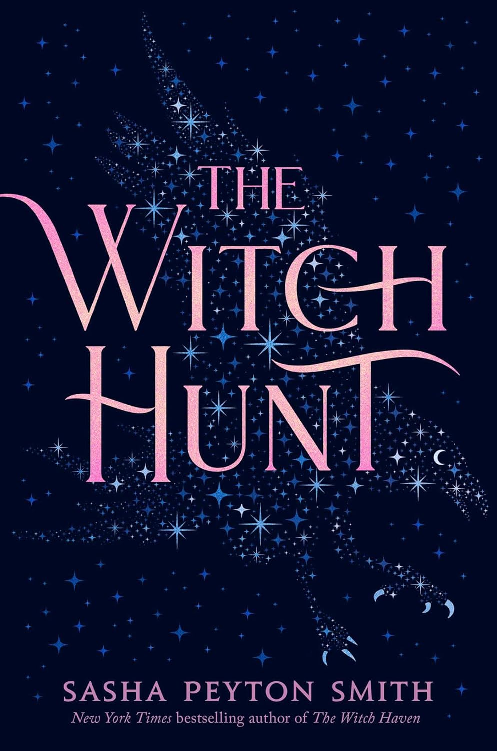 The Witch Hunt Book by Sasha Peyton Smith