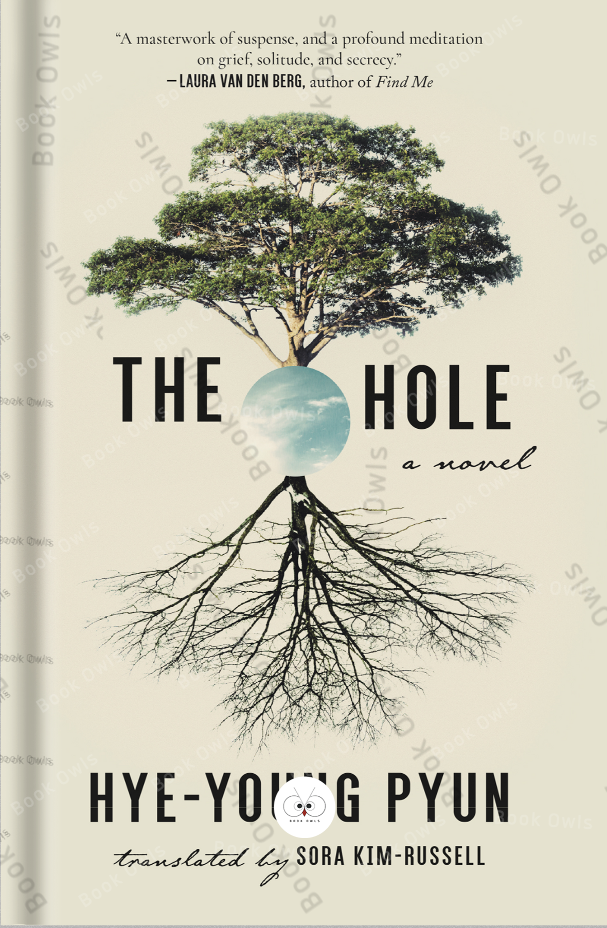 The Hole: A Novel by Pyun Hye-young